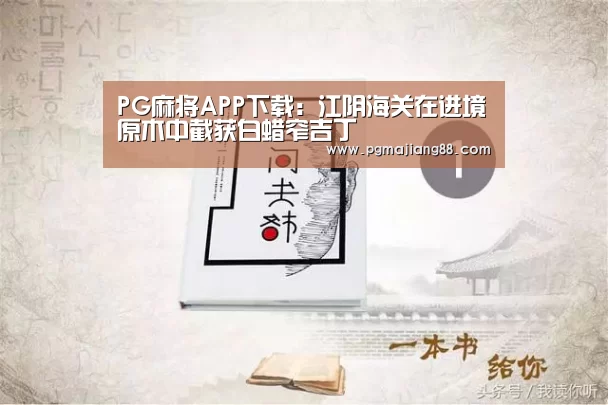 PG最新地址