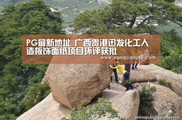 PG最新地址_广西贵港迅发化工人造板饰面纸项目环评获批(图1) PG麻将娱乐