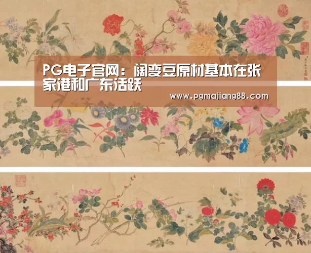 PG电子官网
