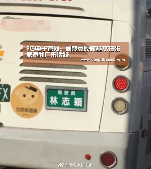 PG麻将APP下载
