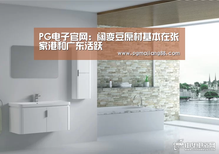 PG电子官网