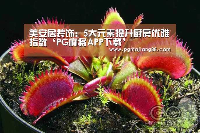 美安居装饰:5大元素提升厨房优雅指数‘PG麻将APP下载’(图3) PG电子官网