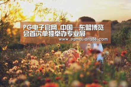 PG电子官网_中国—东盟博览会首次单独举办专业展(图1) PG最新地址