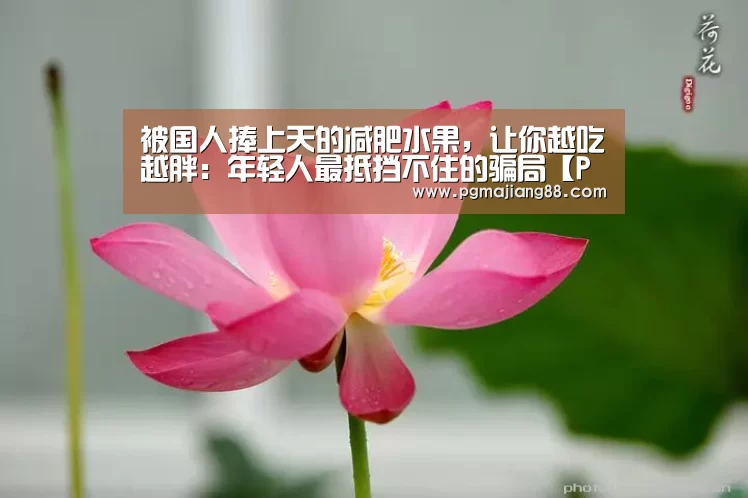 PG最新地址