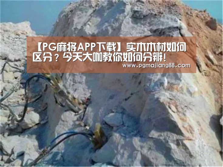 【PG麻将APP下载】实木木材如何区分?今天大咖教你如何分辨!(图1) PG电子官网