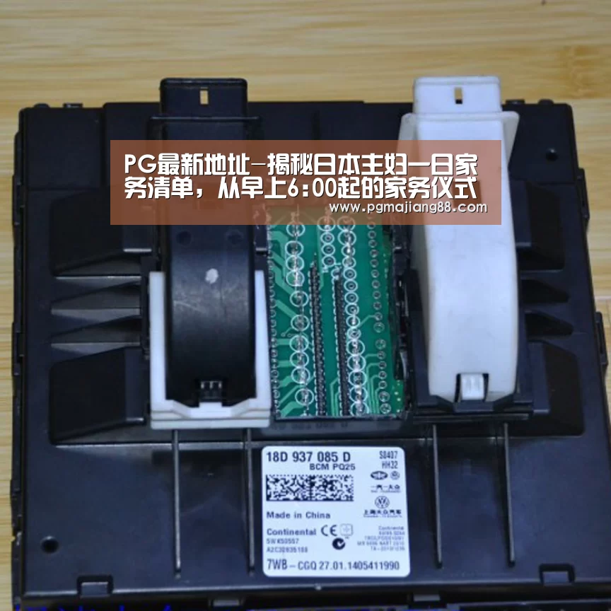 PG最新地址